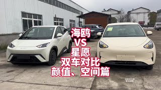 比亚迪海鸥VS吉利星愿双车对比之颜值、空间、内饰篇 同款展示