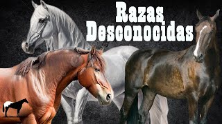 Razas De Caballos Que No Conocías 🐴-Del Cerro Soy