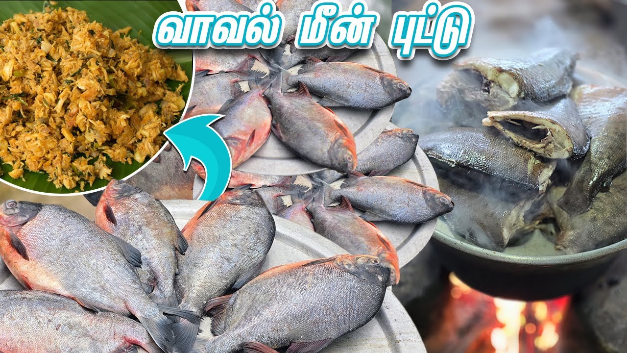வாவல் மீன் புட்டு செய்வது எப்படி..? 🤔 || Vaval Fish Puttu  - Easy & Tasty Fish Recipe 🐟