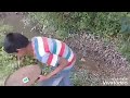 funny  videos