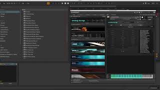 How to re-install Analog Strings Expansions