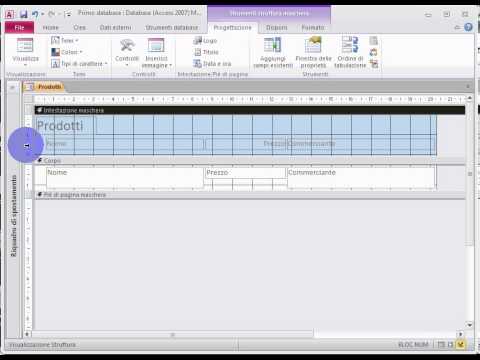 Formattare Maschere in Access: Design e Colori (Tutorial 2026) - Lezione 11