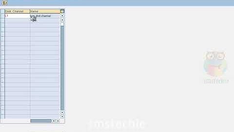 SAP SD IMPLEMENTATION TRAINING VIDEO BEGINNER PART 1