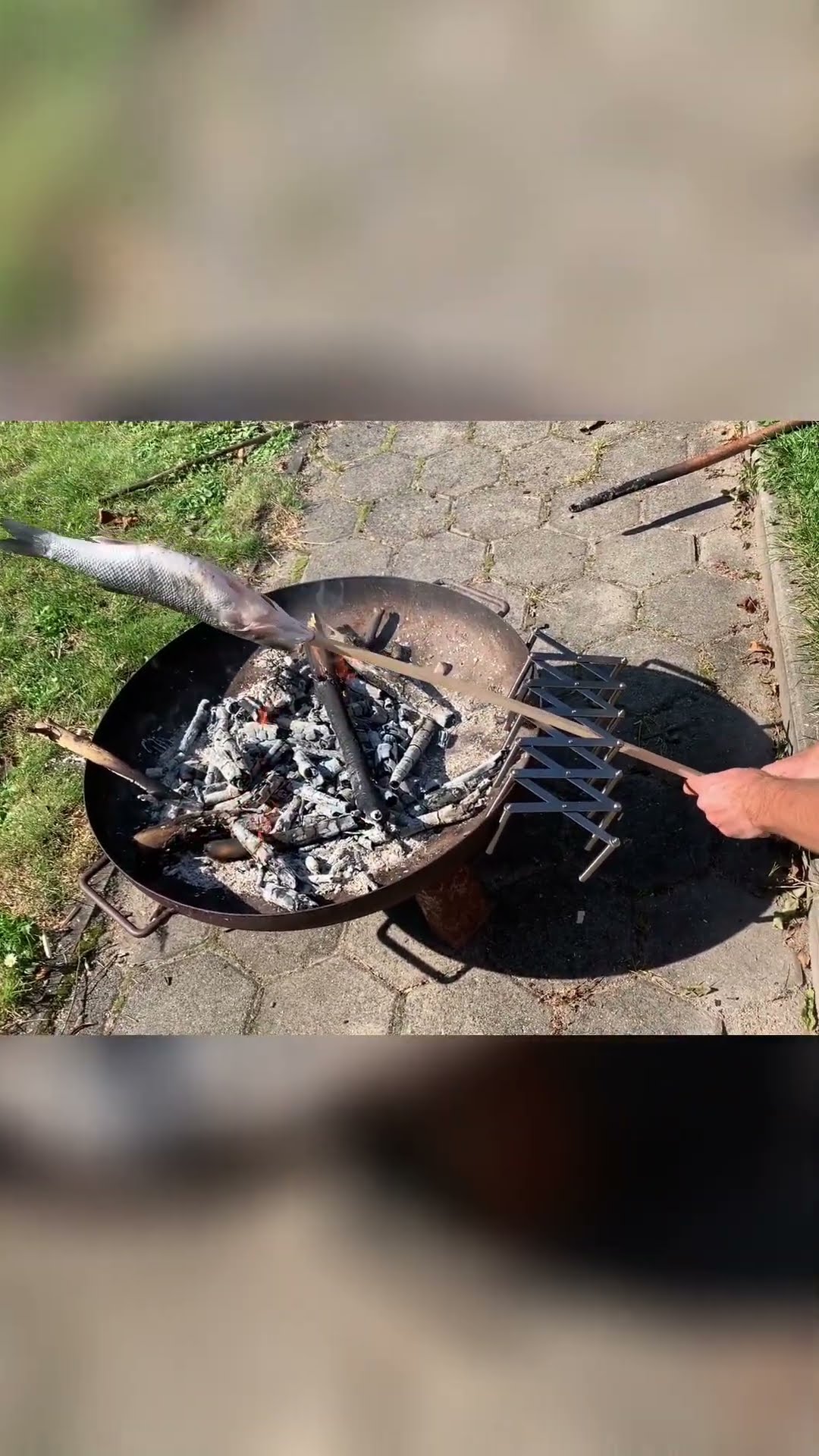 🔥🐟Wolfsbarsch über Feuer grillen🐟🔥auch mit Forellen super lecker! - YouTube