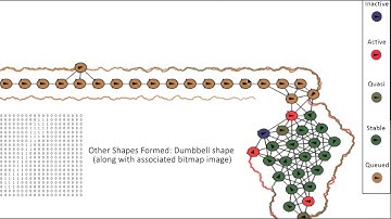 Distributed Epigenetic Shape formation and Regeneration algorithm for a Swarm of Robots