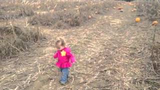 Pumpkin Picking 2012