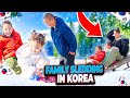 Our Life in Korea: Freezing While Trying to Sled with Toddlers & Catching Ice Fish for Lunch