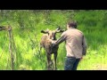 Flavours of Scotland with Paul Lister on Rewilding at Alladale Wilderness Reserve