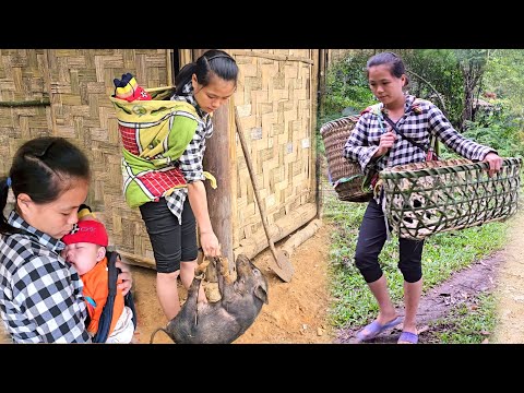 Single mother _ sick child, sell pigs to buy medicine for the child, knit a cradle for the child