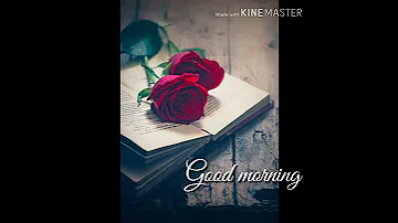 Red Rose Good Morning Wishes Whatsapp Status Video Online Malayali 