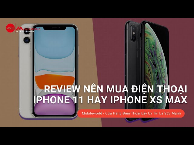 REVIEW NÊN MUA ĐIỆN THOẠI IPHONE 11 HAY IPHONE XS MAX