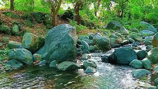 Mountain Water Stream, Nature Sounds for Sleeping, Relaxation, Meditation | Water Sounds