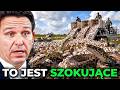 Zrzucają miliony myszy nad Everglades — wszystko przez pytony