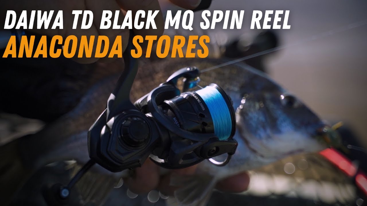 Daiwa TD Black MQ Spin Reel, Fishing Reel