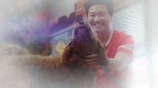 Archie's Dogtopia Daze - Dog Daycare You'll Both Dream About