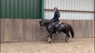 Download Lagu evy MP3