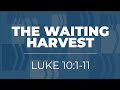 The waiting harvest