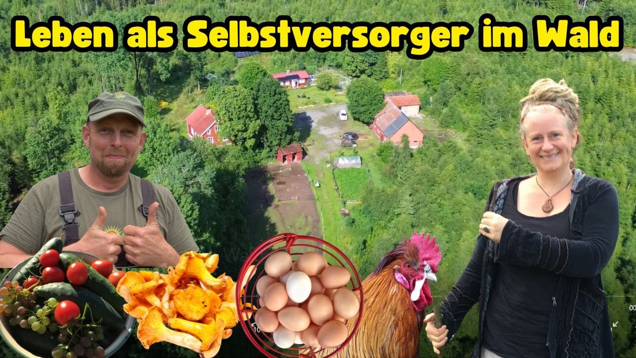 Leben als Selbstversorger im eigenen Wald - Fast autark und niemals fertig