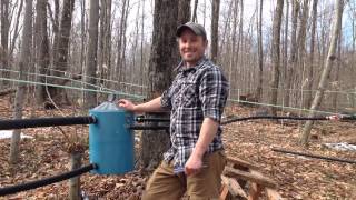 Sugarmaking In Vermont,  Making Maple Syrup at Jean's Family Maple Sugar House