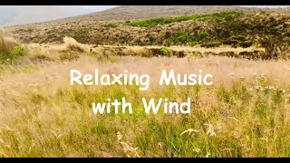 Relaxing Music with Wind by Eustress New Zealand 111 views 3 months ago 31 minutes