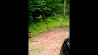 2 Liter Chlorine bomb