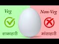 अंडा शाकाहारी है या मांसाहारी? - Here is a Reason why egg is Veg