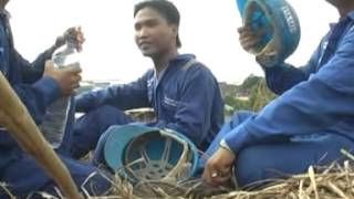 Trio Vanue - Galangan Kapal di Batam