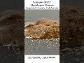 Sand Sample 0023 -- Algodones Dunes, Imperial, California - Dune Buggy Country!