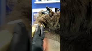 importance of Clipper over comb #barber screenshot 4