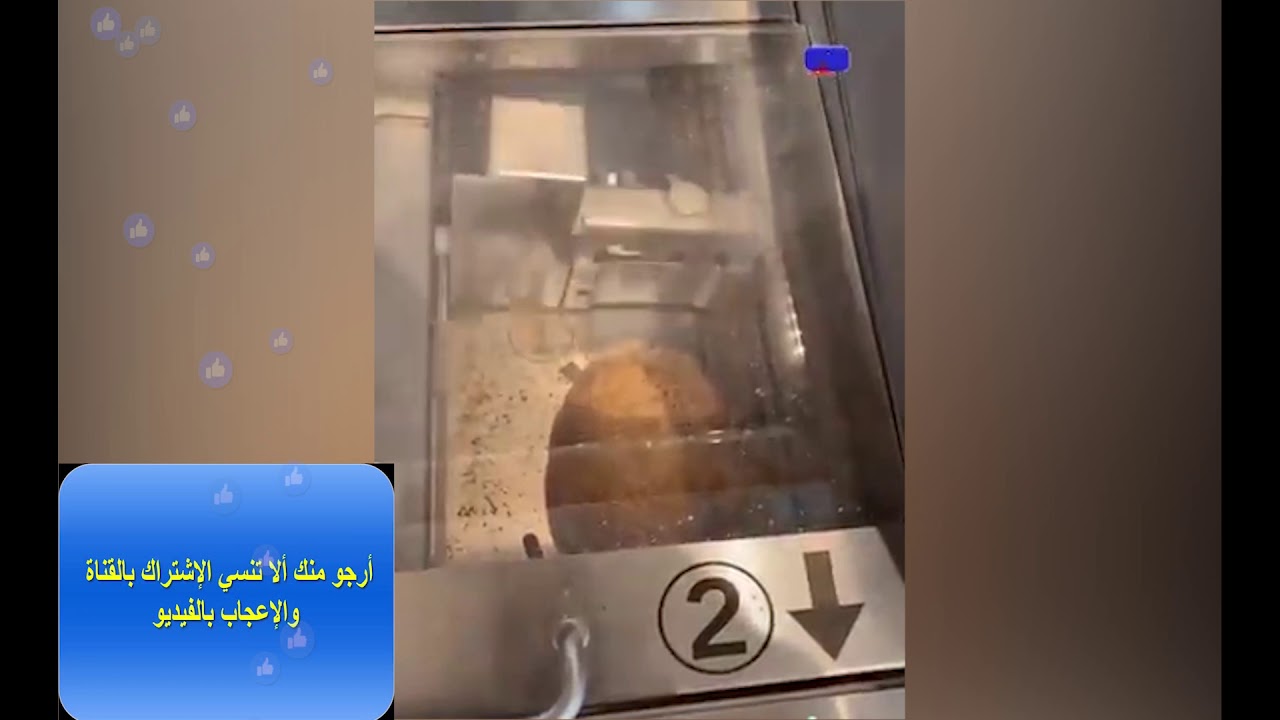 مدهش! الناس في العمل 😲😲😲😲😲#16