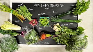 2026 CSA Week 2