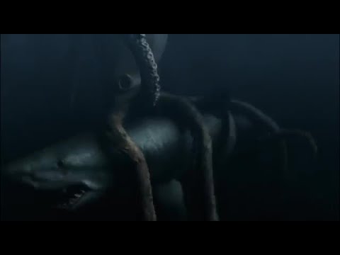Mega Shark vs Giant Octopus&rsquo; in 4 minutes