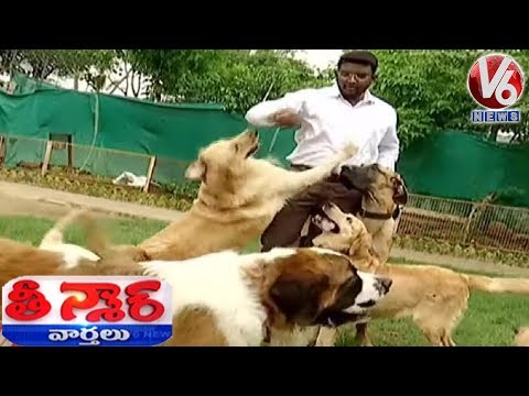 happy dogs kennel khanapur