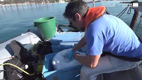 Step 3. DGT retrival  | Water assessment tutorial