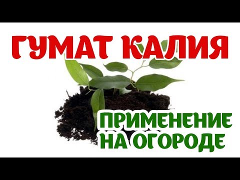 Видео: Гумат Калия. Что такое гумат и что он дает почве? Применение