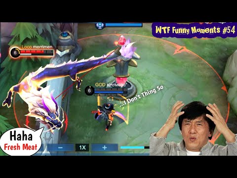 WTF Funny Moments Episode #54  Mobile Legends WTF
