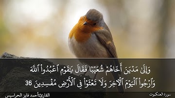 الصفحة 400 سورة العنكبوت بصوت القارئ المهندس أحمد فايز الحراسيس