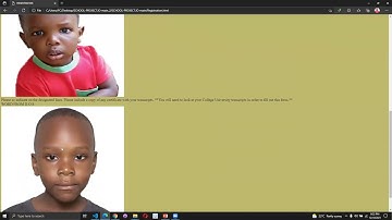 VMEDI Bootcamp Phase II Websites Presentations