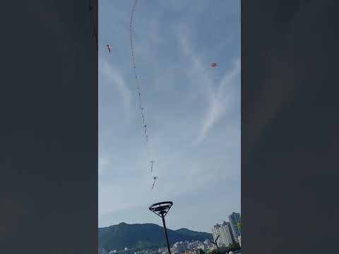 마산 해양공원 연 날리기