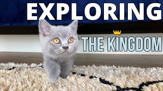 Lord Louis - Exploring the Kingdom by Lord Louis XIII 3,199 views 3 years ago 2 minutes, 17 seconds