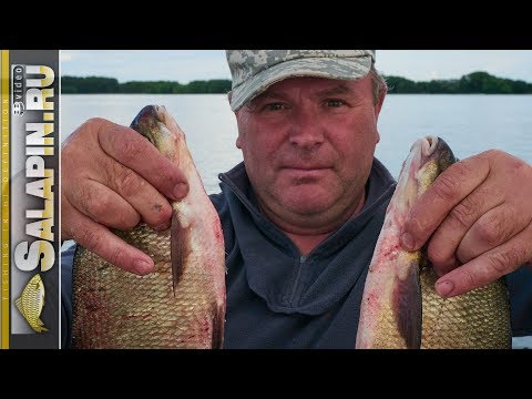 Рыбалка с лодки бортовыми удочками [salapinru]