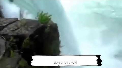 قارئ الصعيد الشيخ مصطفى عبد الباري