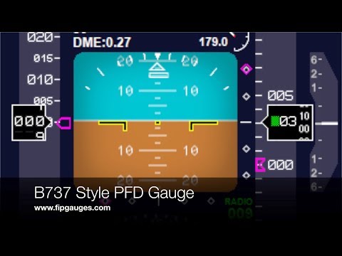 B737 Primary Flight