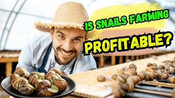 Snail Farming: A Money-Sluggish Business with High Returns!