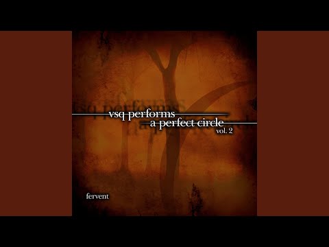 Vitamin String Quartet - A Stranger
