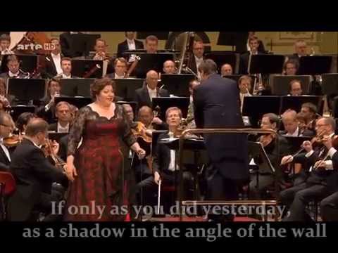 ‘Allein! Weh, ganz allein’ (Elektra) Christine Goerke, Soprano