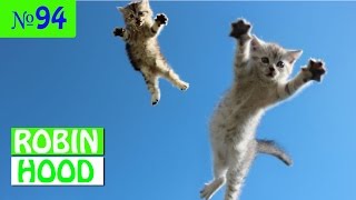 ПРИКОЛЫ 2017 с животными. Смешные Коты, Собаки, Попугаи // Funny Dogs Cats Compilation. Май №94 ПРИКОЛЫ 2017 с животными. Смешные Коты, Собаки, Попугаи // Funny Dogs Cats Compilation. Май №94