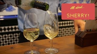 All About Sherry! || The secrets behind Spain's misunderstood wine!