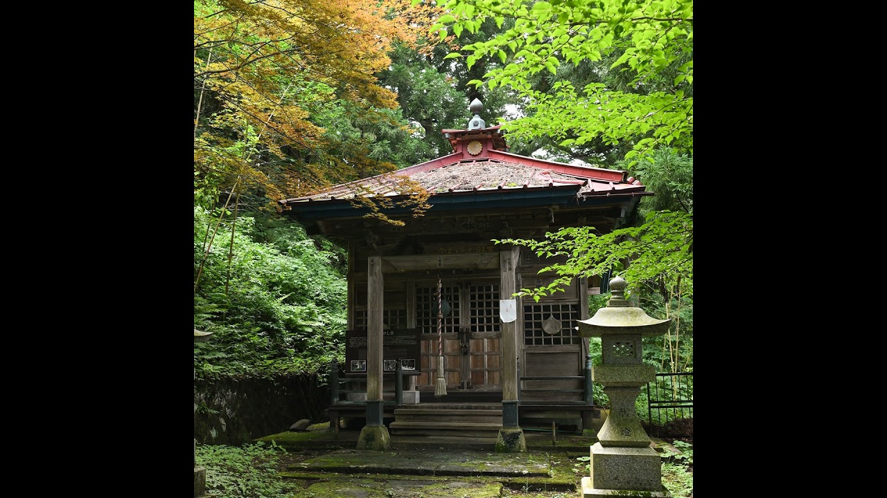 Tara Brach on how to deal with fear and uncertainty