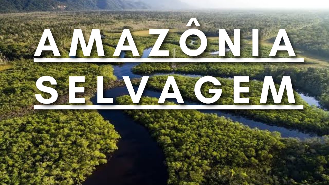 Amazônia Selvagem - Berço da vida | Documentário dublado HD